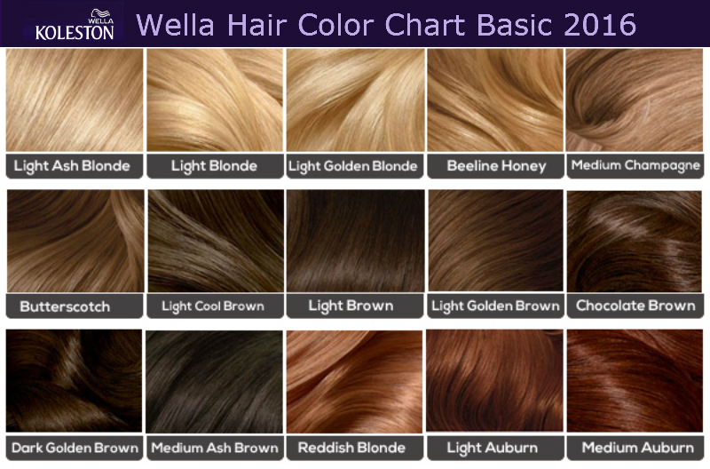 Wella Basic Hair Colour Chart Hair Images 2016 Loreal