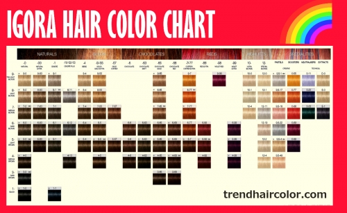 Igora hair color chart, ingredients, Instructions