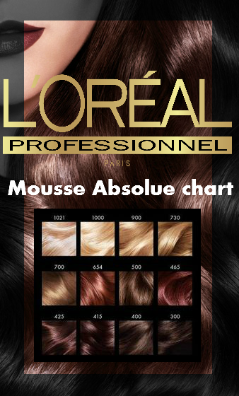 L Oreal Mousse Absolue Color Chart
